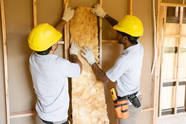 Types of Insulation We Offer in Pecan Plantation, TX