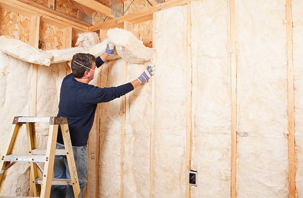 Professional Insulation Services in Pecan Plantation, TX